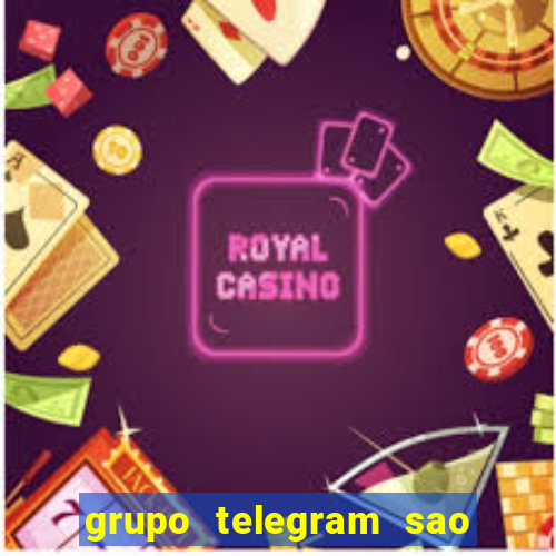 grupo telegram sao jose do rio preto